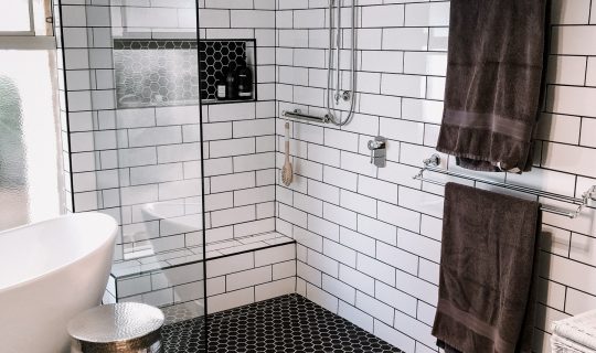 Bathroom renovation ideas accessible shower