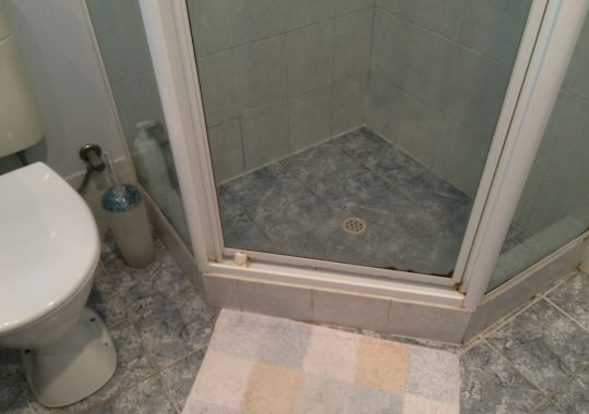 old shower before renovations