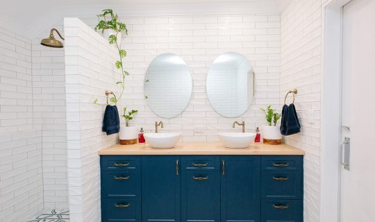 blue and white bathroom with large shower and plants